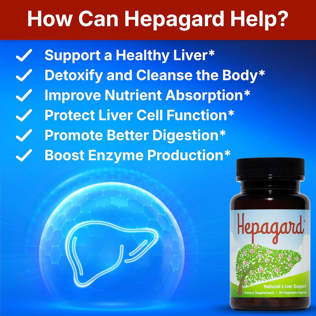 Natural Liver Support Supplement 30 Capsules