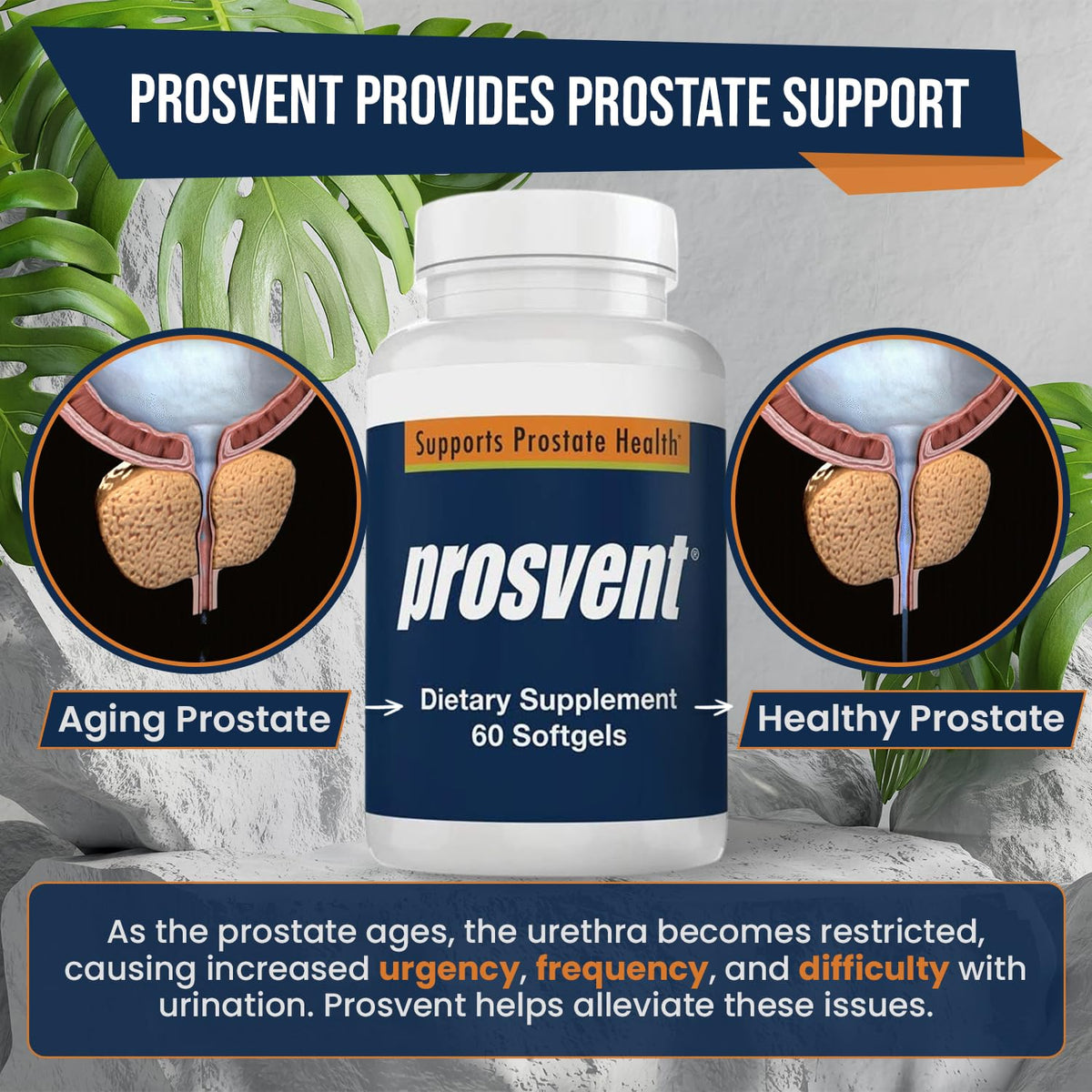 Prosvent Advanced Men's Prostate Support Natural Supplement 60 softgels