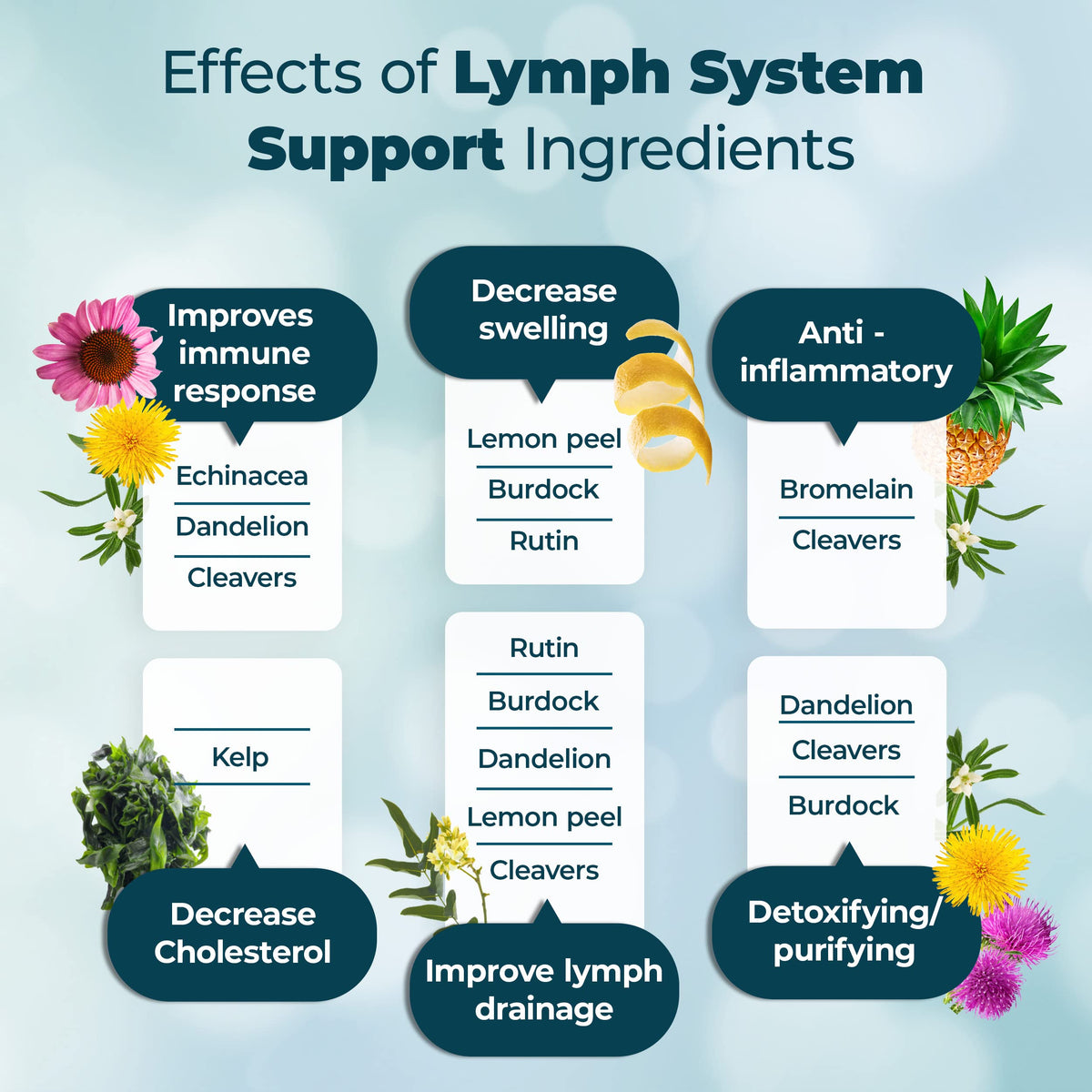 PUREHEALTH RESEARCH Lymph System Support Supplement - Lymphatic Drainage Supplement with Dandelion Extract, Cleavers, Burdock Powder - Reduce Swelling and Cleanse Lymph - 1 Bottle, Brown