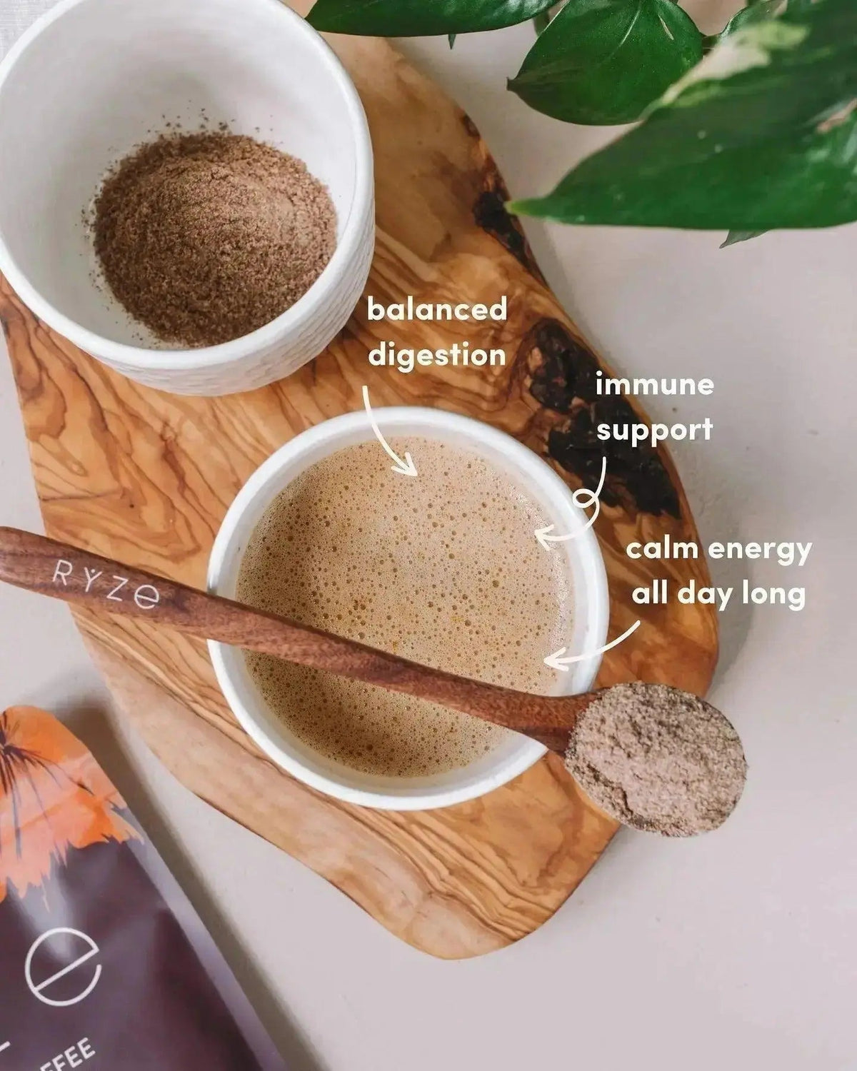 RYZE Mushroom Coffee | 6 Adaptogenic Mushrooms | USDA Organic | Instant Coffee | MCT Oil | USA Grown | Better Energy, Focus, Digestion, Immunity | Cordyceps, Lion’s Mane, Turkey Tail | 30 servings - Jia Sales